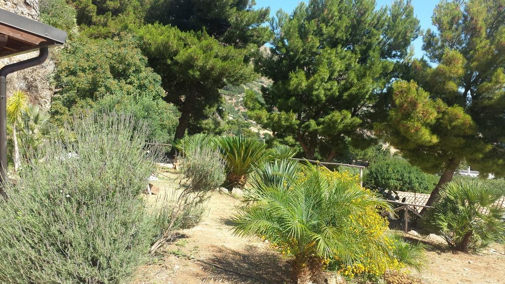Agave Scopello Villa Kültér fotó